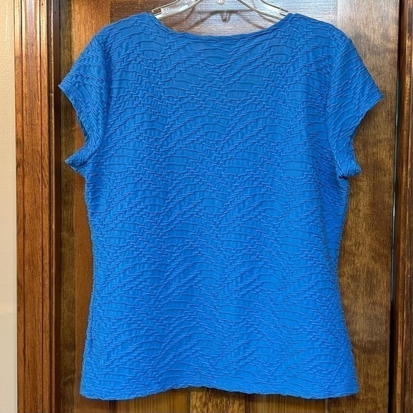 $5 ADD ON with $15+ Bundle Liz Claiborne Career Blue Knit Textured Top Sz XL EUC - Picture 2 of 9